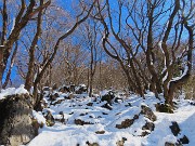 Sulle nevi del Monte Zucco da S. Antonio Abbandonato il 20 febbraio 2026 - FOTOGALLERY